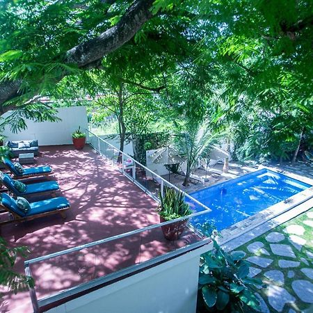 Villas Parota Inn Нуево Валярта Екстериор снимка